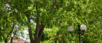 Place de la Convention