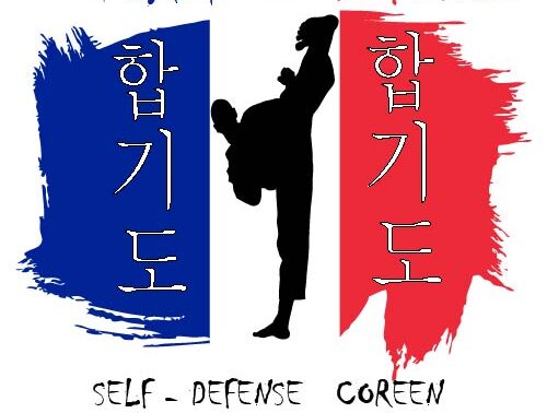 logo team defense - Agrandir l'image, fenêtre modale