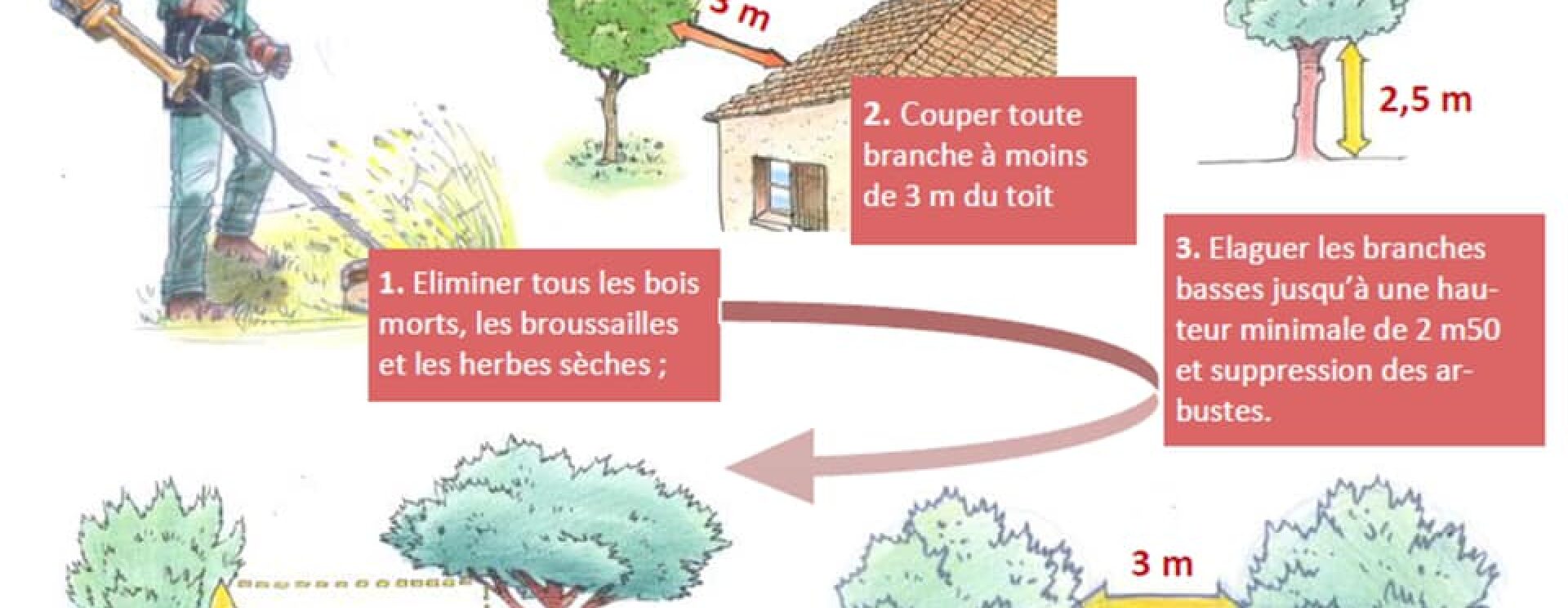 comment débroussailler ?