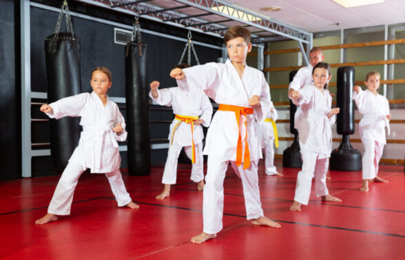 art martiaux varois - Agrandir l'image, fenêtre modale