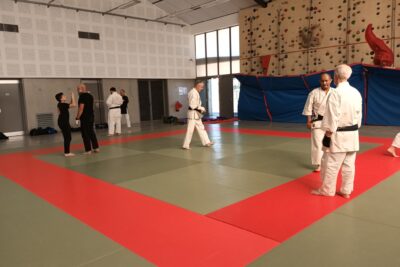 Agrandir l'image 3 sur 3, fenêtre modale