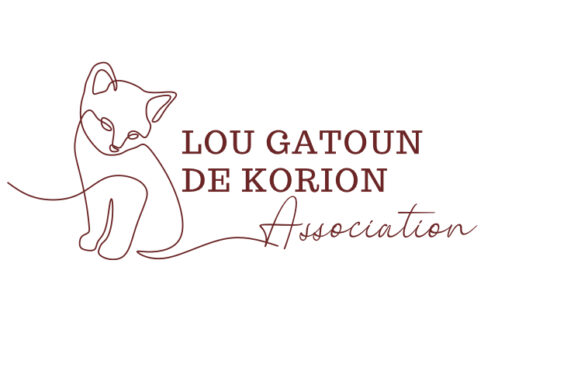 Lou Gatoun de Korion - Agrandir l'image, fenêtre modale